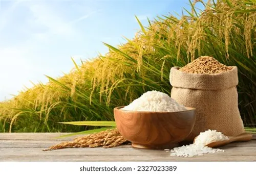 organic rice